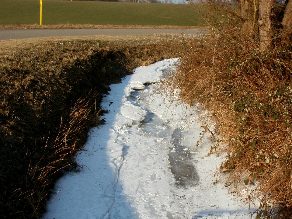 20120212Kriegbach04