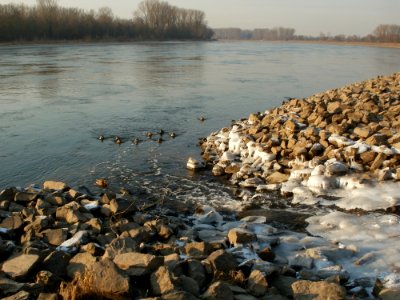 20120212Kriegbachmuendung02