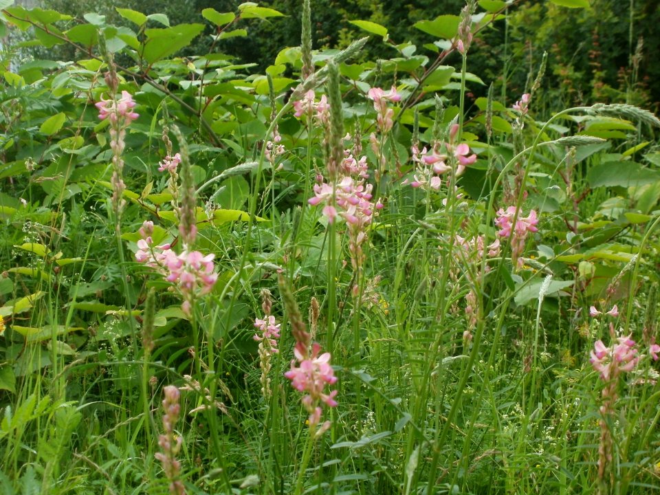 20120621Saar_Saarbruecken00