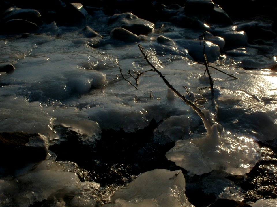 20120212Kriegbachmuendung12