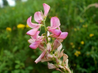 20120621Saar_Saarbruecken05