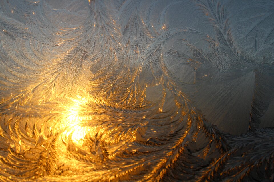 Frost eiskristalle iced