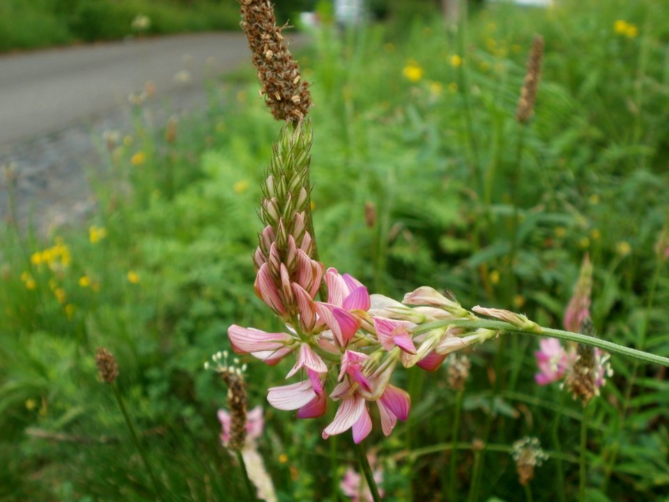 20120621Saar_Saarbruecken02