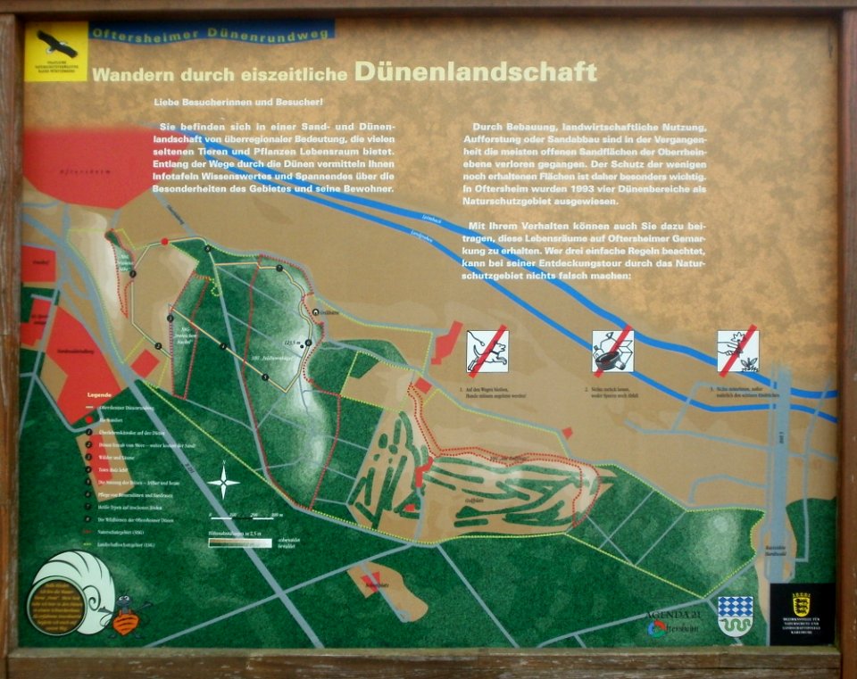 20120624Oftersheimer_Duenen102