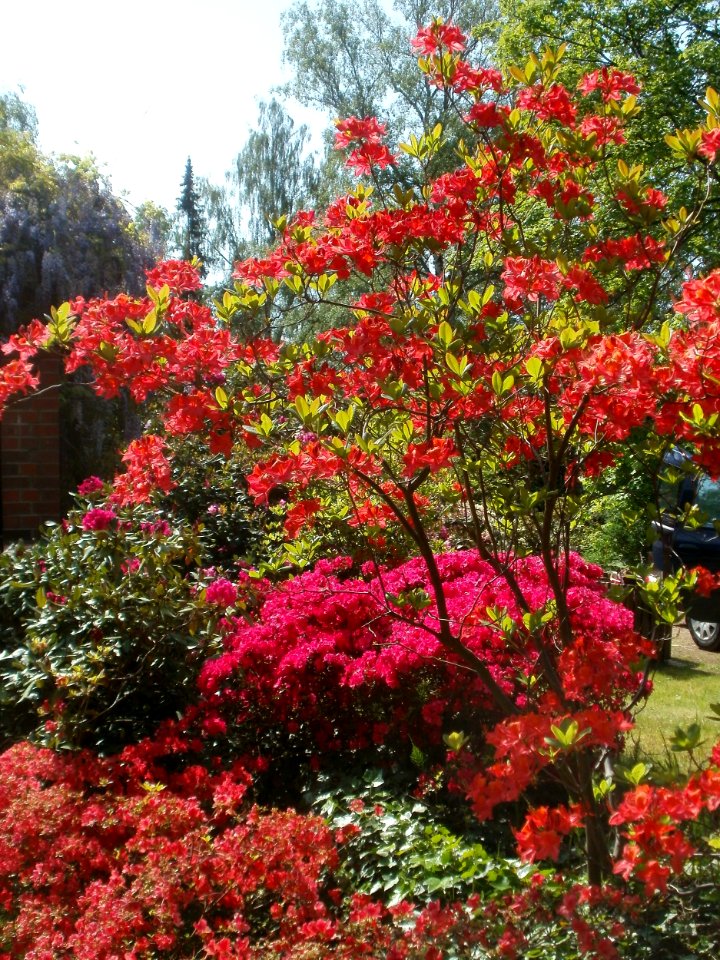 20120518Friedhof_St_Johann4