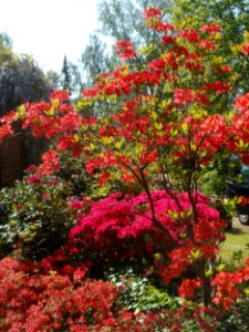 20120518Friedhof_St_Johann4