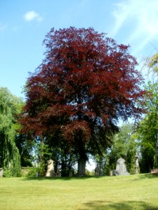 20120518Friedhof_St_Johann5