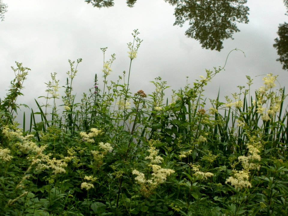 20120621Staden_Saarbruecken28
