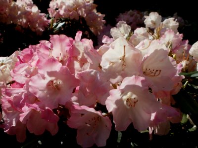 20120518Friedhof_St_Johann3