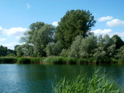 20120609Reilinger_See2