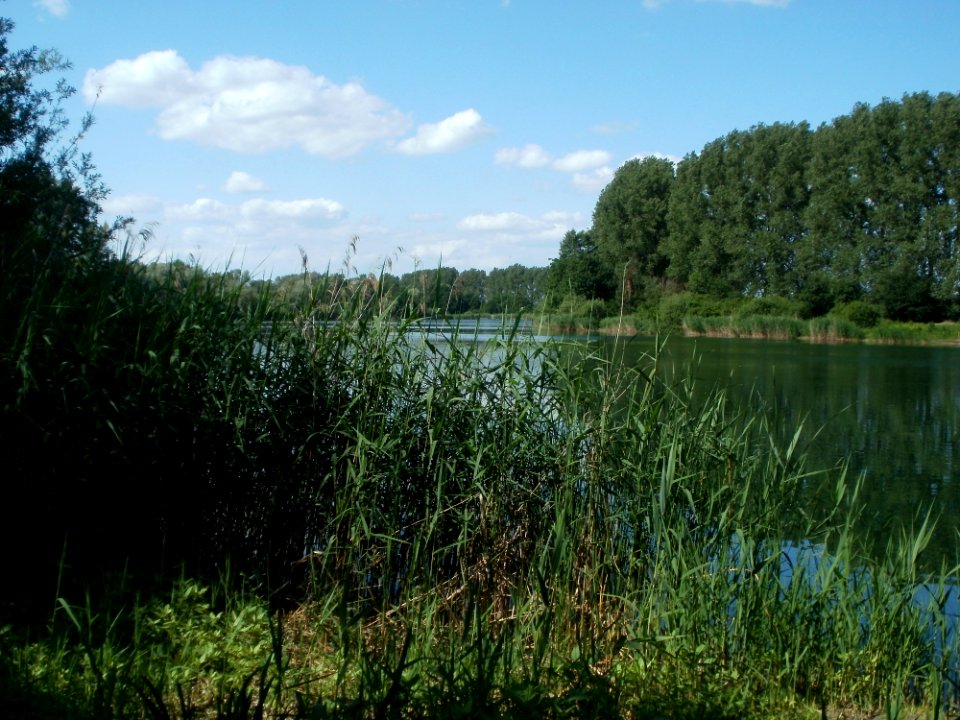 20120609Reilinger_See3