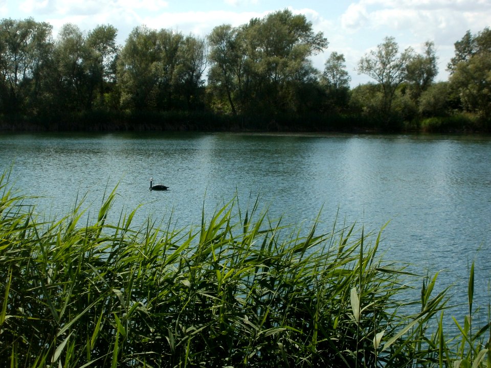 20120609Reilinger_See1