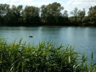 20120609Reilinger_See1