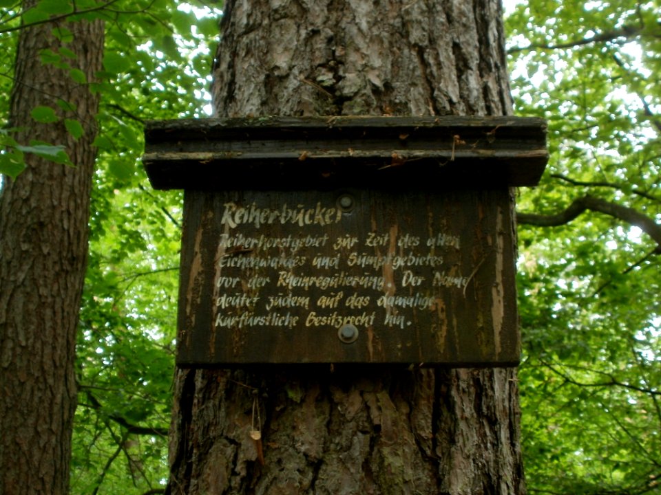 20120624Schwetzinger_Hardt