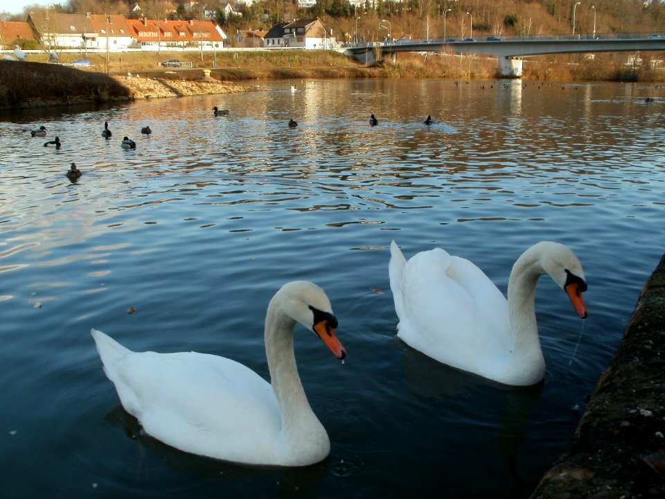 20120114Schleuse_Guedingen7