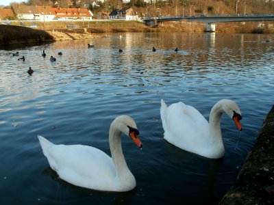 20120114Schleuse_Guedingen7