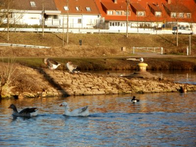 20120114Schleuse_Guedingen2