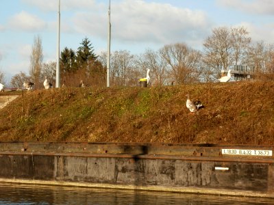 20120114Schleuse_Guedingen1