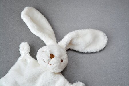 Doudou white close up