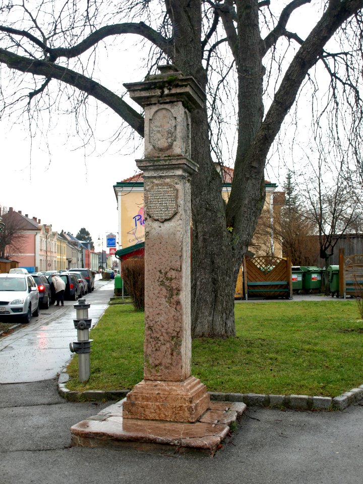2012.12.26_-_Wilhelmsburg_-_Pestsäule_-_03