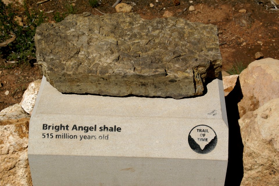 2012.09.14.112904_Bright_Angel_shale_Yavapai_Point_Grand_Canyon_Arizona