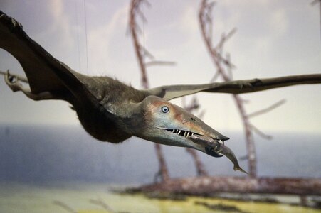 Eat prehistoric times dinosaur