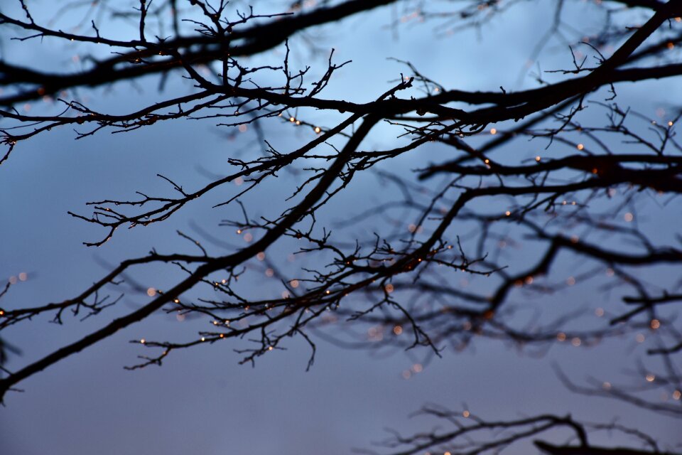 Evening landscape blue