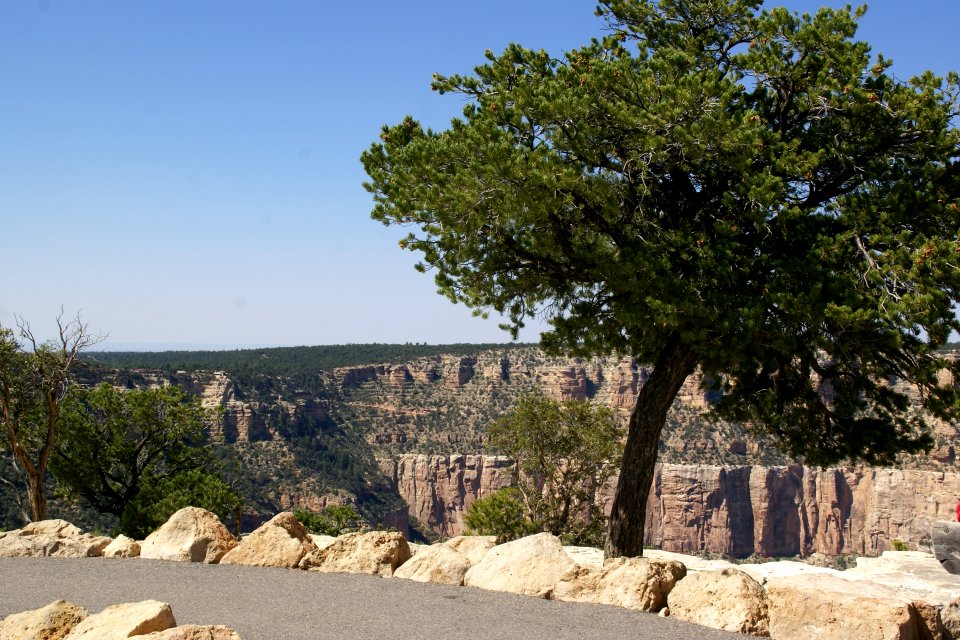2012.09.14.111122_View_Mather_Point_Grand_Canyon_Arizona