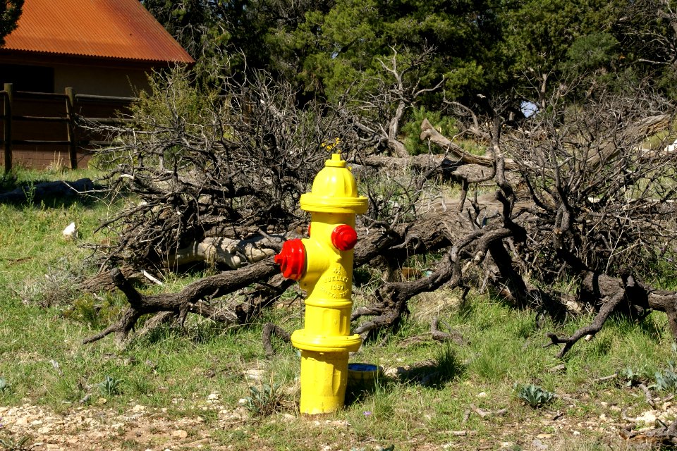 2012.09.14.101642_Fire_hydrant_Grand_Canyon_Arizona