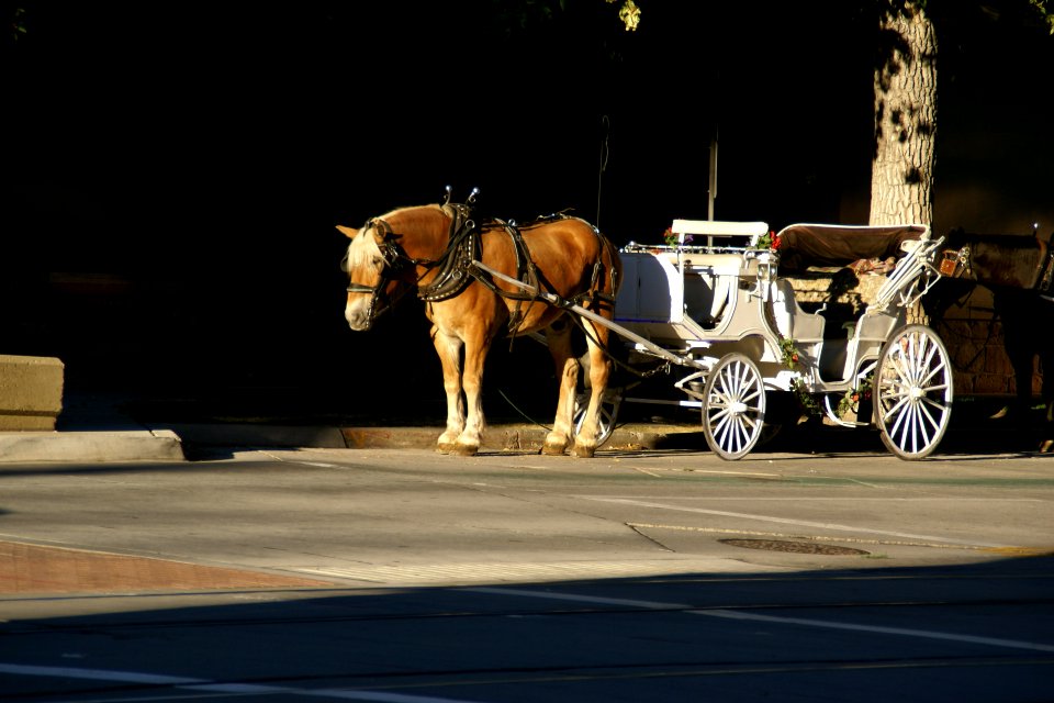 2012.10.01.171417_Horse_carriage_W_South_Temple_Salt_Lake_City_Utah