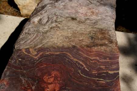 2012.09.14.121101_Supergroup_stromatolite_Yavapai_Point_Grand_Canyon_Arizona photo