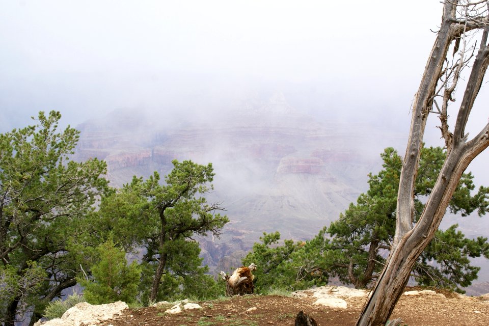 2012.09.13.103822_View_Fog_Rim_Trail_Grand_Canyon_Arizona