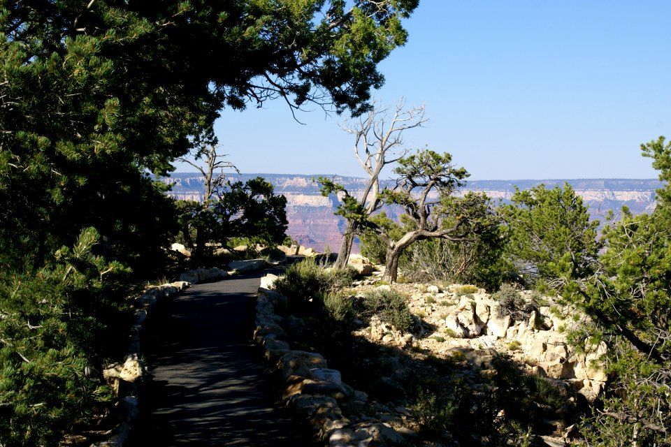2012.09.14.160856_South_Rim_Trail_Grand_Canyon_Arizona