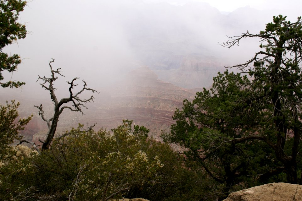 2012.09.13.102948_View_Fog_Rim_Trail_Grand_Canyon_Arizona