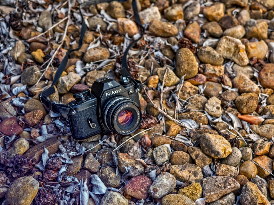Retro photographer photography