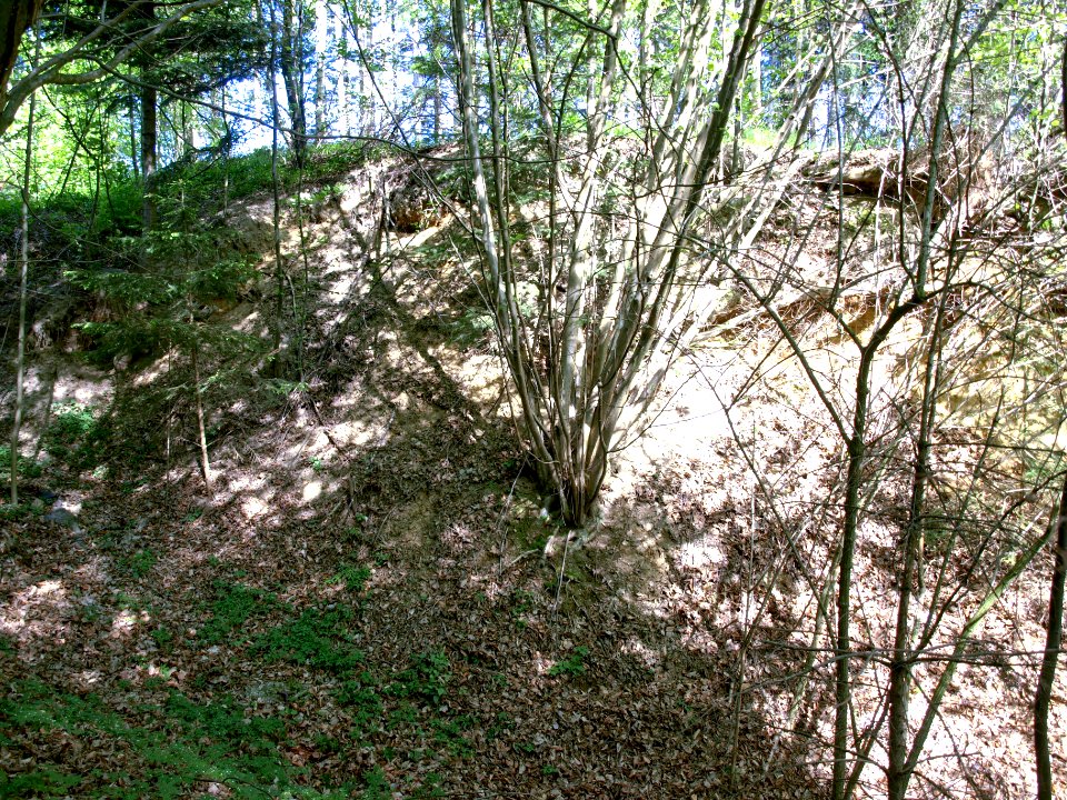 2012.04.28_-_St._Martin-Karlsbach_-_Hausberg_Engelsburg_-_01