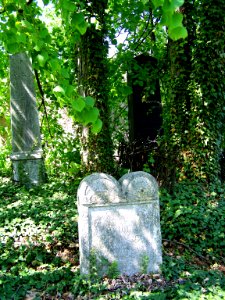 2012_kveten_kolin_hrbitov_009