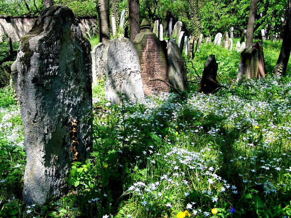 2012_kveten_kolin_hrbitov_016