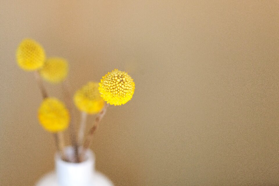 Decor decoration floral