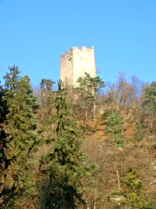 2012.11.14_-_Neustadtl_-_Burgruine_Freyenstein_-_20