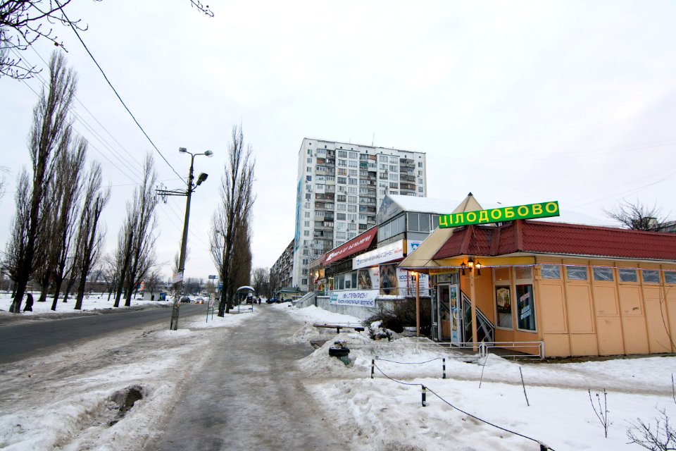 2012-12-30_Ivana_Mykolaichuka_Street,_Kiev_02