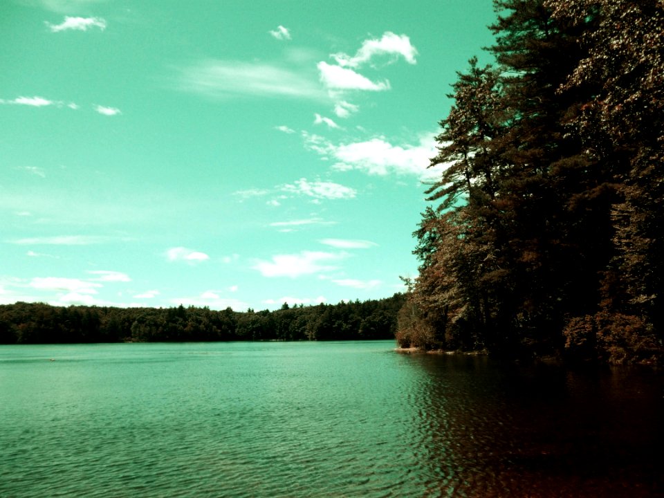 2012-06-27-Walden-Pond-03_73_2-color
