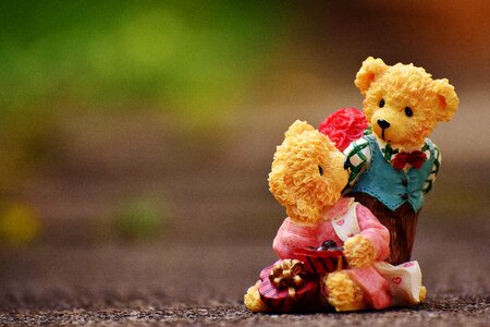 Bear figures funny