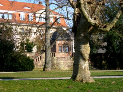 20110305Staden01