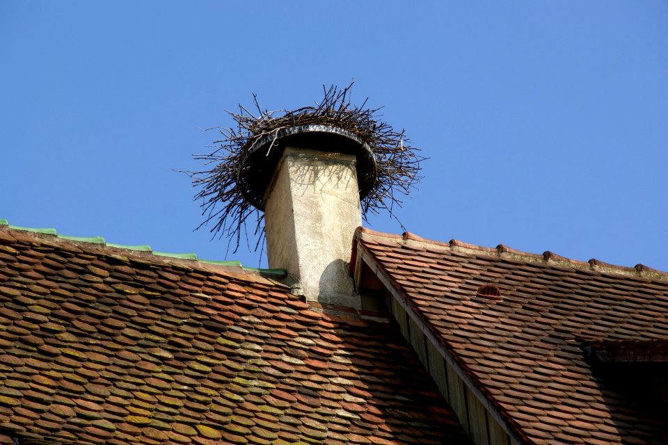 2011.09.17.120150_Stork_nest_Obernai