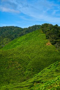 Landscape nature peace