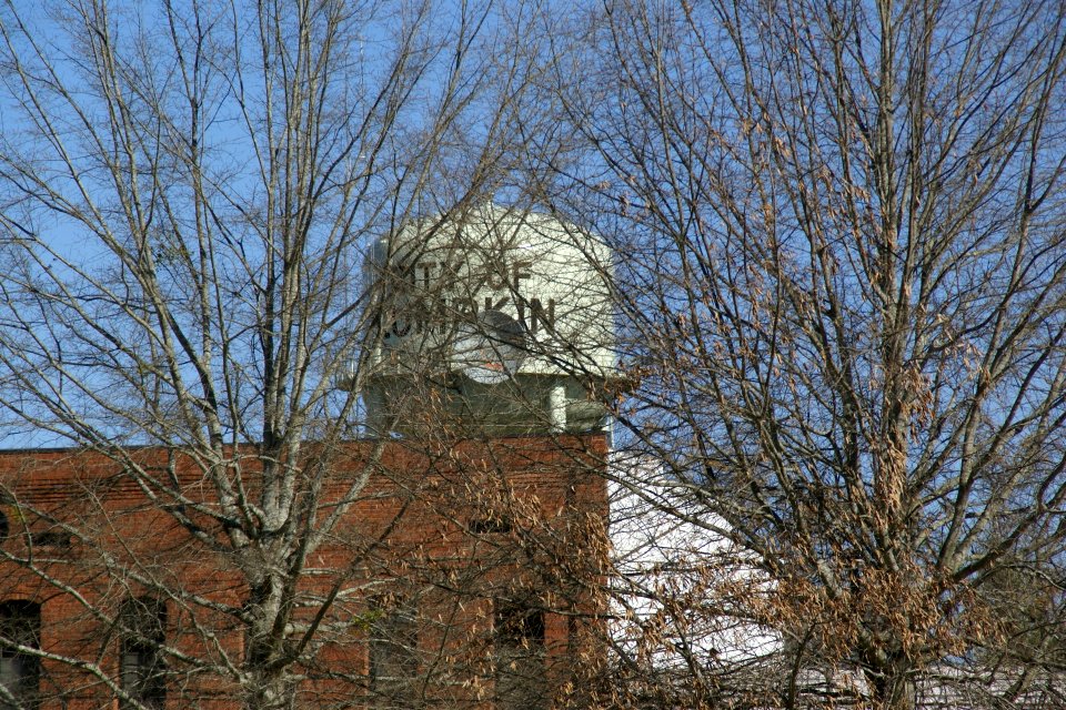 2011.03.12.095145_Water_tank_Lumpkin_Georgia_USA
