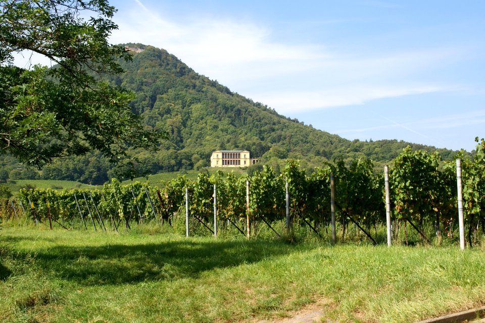 2011.09.16.130955_Villa_Ludwigshöhe_Rhodt