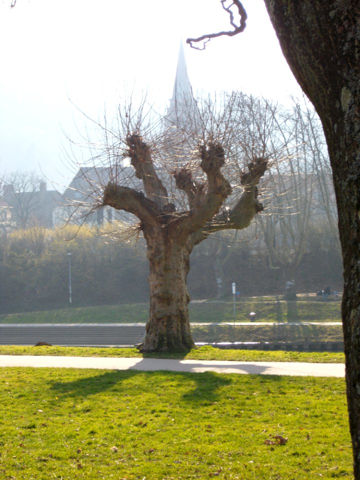 20110305Staden02