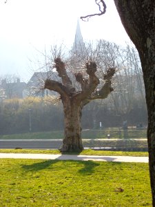 20110305Staden02